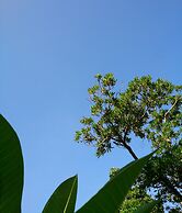 Atelier Café bar Seihei