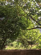 Banyan Villa Nha Trang