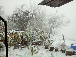 Hotel Shivalik - Best Himalaya View Hotel In Almora'