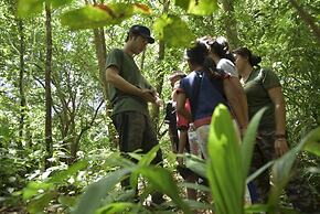 Our Jungle Camp - Eco Resort