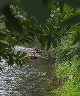 Our Jungle Camp - Eco Resort