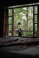 Our Jungle Camp - Eco Resort