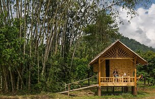 Our Jungle Camp - Eco Resort