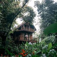 Our Jungle Camp - Eco Resort