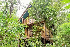 Our Jungle Camp - Eco Resort