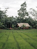 Our Jungle Camp - Eco Resort