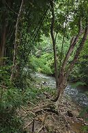 Our Jungle Camp - Eco Resort