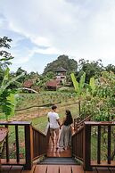 Our Jungle Camp - Eco Resort