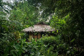 Our Jungle Camp - Eco Resort