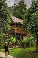 Our Jungle Camp - Eco Resort