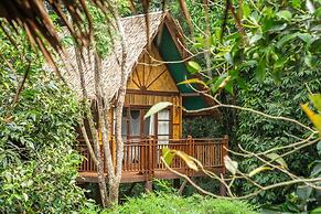 Our Jungle Camp - Eco Resort