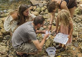 Our Jungle Camp - Eco Resort