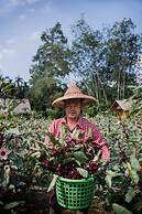 Our Jungle Camp - Eco Resort