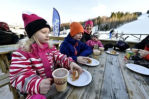 Hassela Ski Resort Cabins