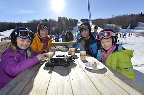 Hassela Ski Resort Cabins