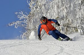 Hassela Ski Resort Cabins