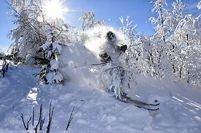 Hassela Ski Resort Cabins