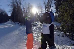 Hassela Ski Resort Cabins