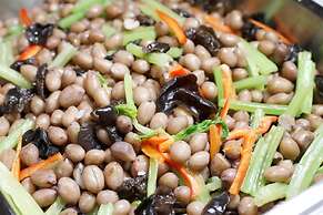 Metropolo Nanjiang Baijia Lake