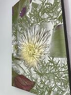 Maxwell Beach Apartment