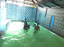 Palm Rivera - Hostel