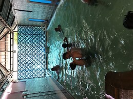 Palm Rivera - Hostel