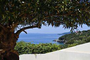 Prima Vista Beachfront Boutique Hotel