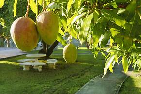 Seawind On The Bay Beach Studio OLR