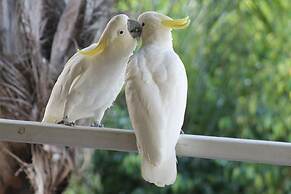 Airlie Beach Eco Cabins - Adults only