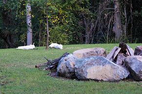 Airlie Beach Eco Cabins - Adults only