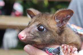 Airlie Beach Eco Cabins - Adults only