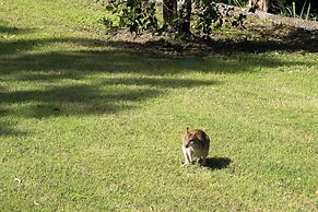 Airlie Beach Eco Cabins - Adults only