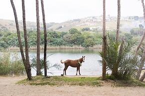 Umtamvuna River Lodge