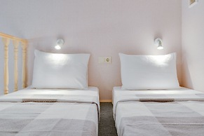 Duplex Apartments on Pushkinskaya 9