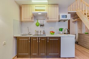 Duplex Apartments on Pushkinskaya 9