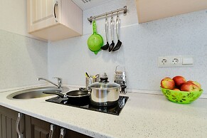 Duplex Apartments on Pushkinskaya 9