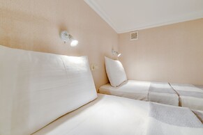 Duplex Apartments on Pushkinskaya 9