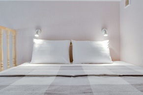 Duplex Apartments on Pushkinskaya 9