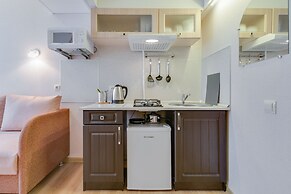 Duplex Apartments on Pushkinskaya 9