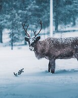 Idre Fjäll Stugor och Lägenheter