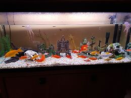 Moorepark West House