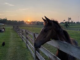 The B & B at Queenslake