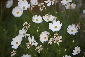 The Nest at Gundaroo