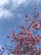 Sin Ging Hong Resort