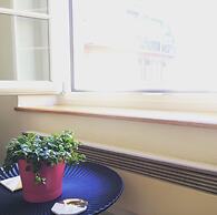 In Swiss Home - Rathaus 1284 historical