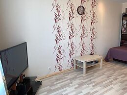 Design Apartment Budapeshtskaya 7