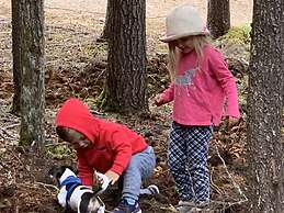 Remo Ridge Bed & Breakfast