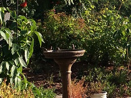 Remo Ridge Bed & Breakfast