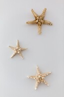 Apartment on the Beach