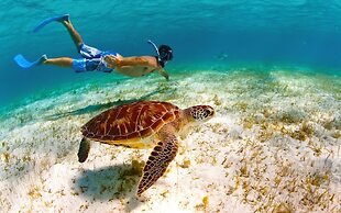 Salt Whistle Bay Retreat